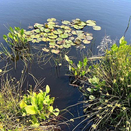 Landzicht Natuur Rust En Ruimte Oosterwolde  Buitenkant foto