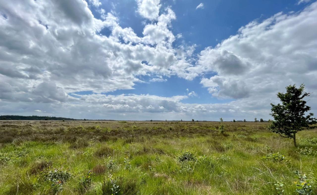 Landzicht Natuur Rust En Ruimte Oosterwolde  Buitenkant foto