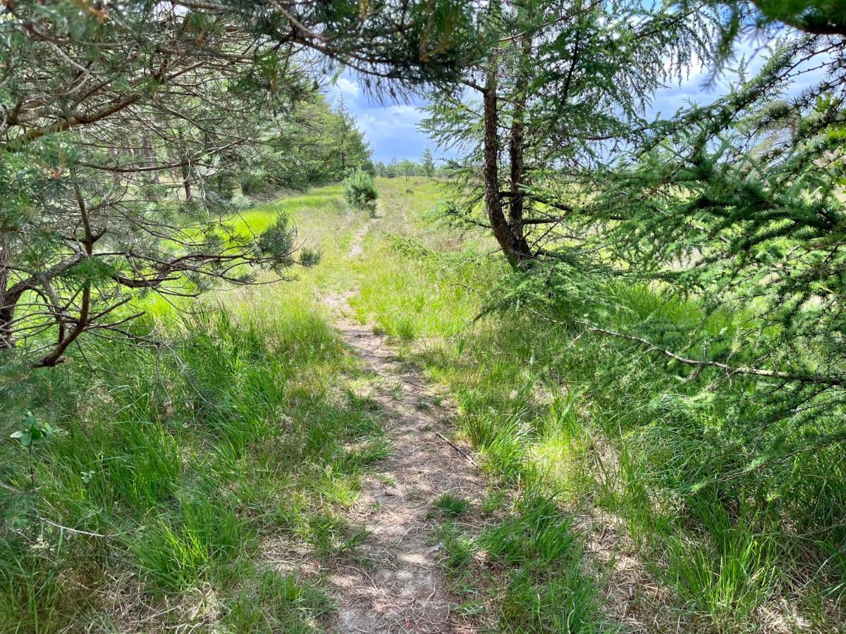 Landzicht Natuur Rust En Ruimte Oosterwolde  Buitenkant foto