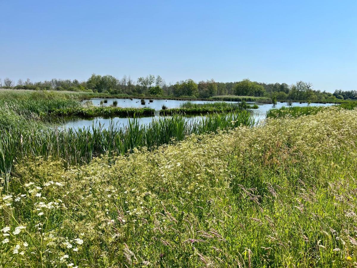 Landzicht Natuur Rust En Ruimte Oosterwolde  Buitenkant foto