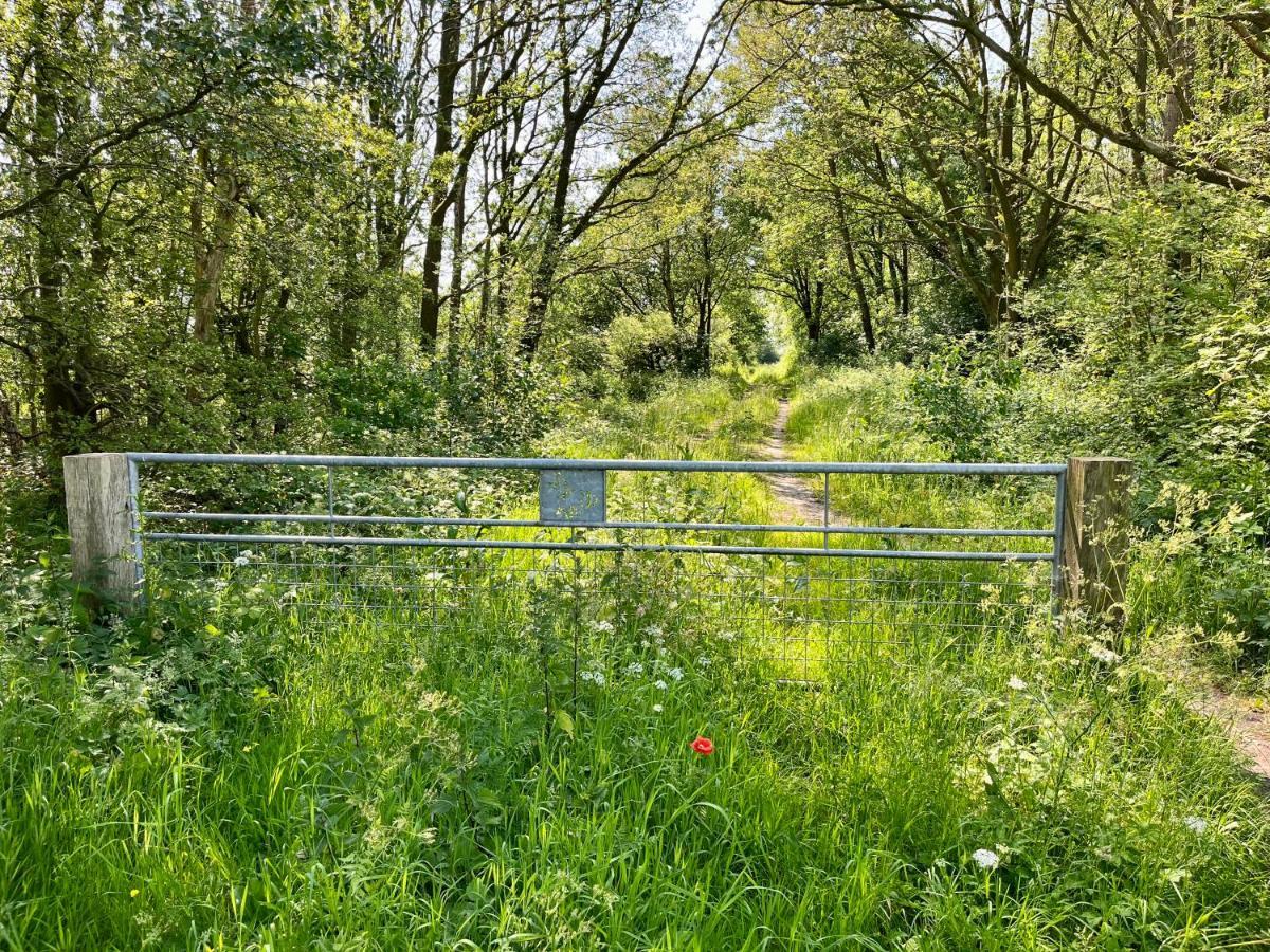 Landzicht Natuur Rust En Ruimte Oosterwolde  Buitenkant foto