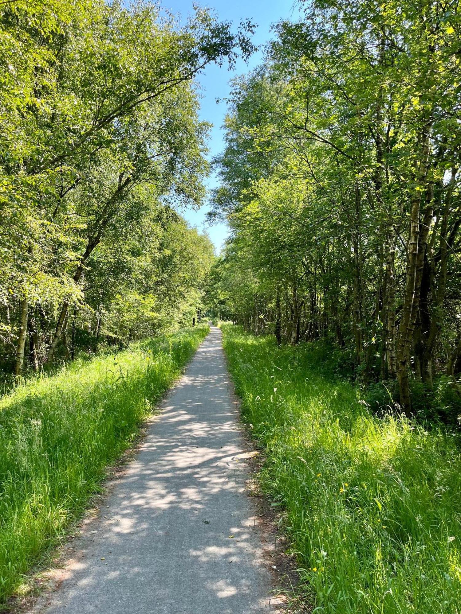 Landzicht Natuur Rust En Ruimte Oosterwolde  Buitenkant foto