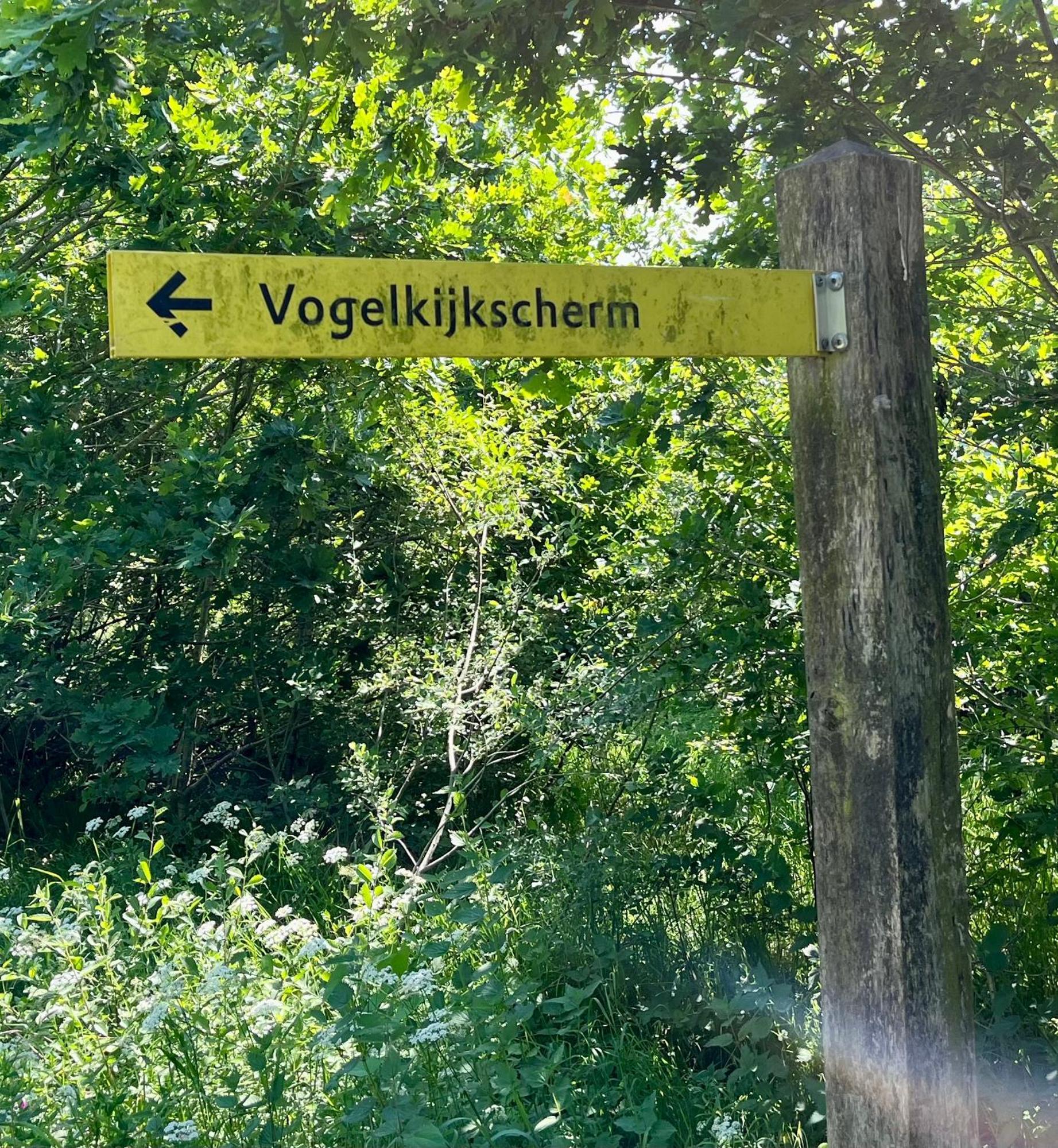 Landzicht Natuur Rust En Ruimte Oosterwolde  Buitenkant foto