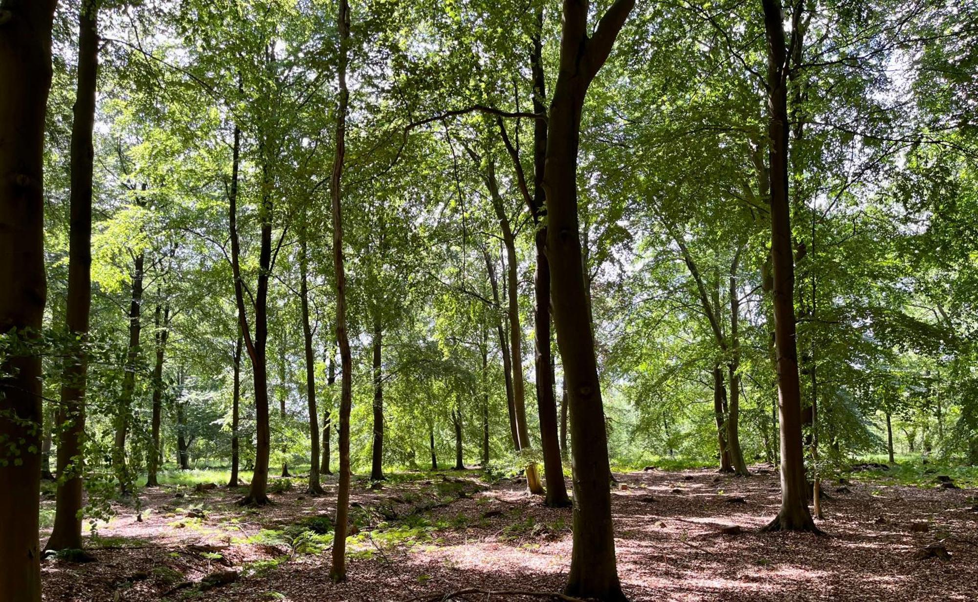 Landzicht Natuur Rust En Ruimte Oosterwolde  Buitenkant foto