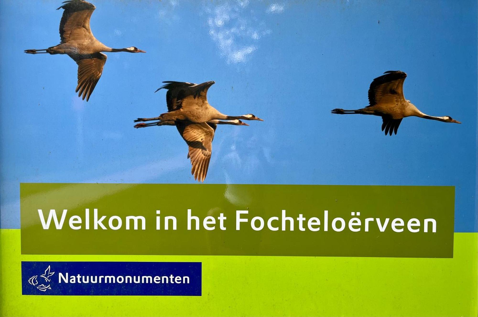 Landzicht Natuur Rust En Ruimte Oosterwolde  Buitenkant foto